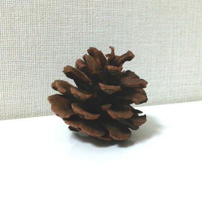 ڂ