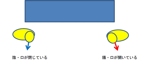 V[T[u