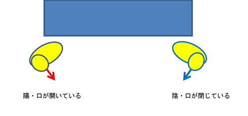 V[T[u